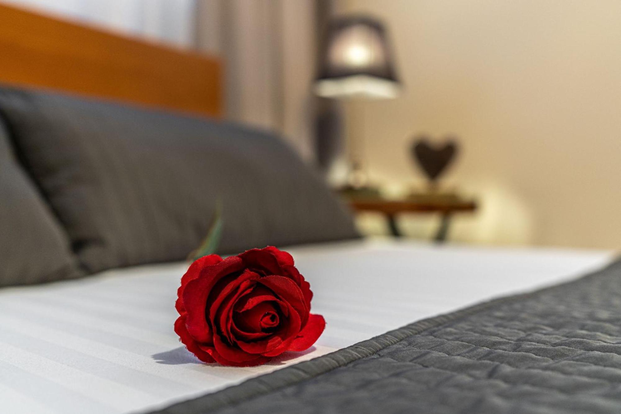 Liberta Inn - Pokoje Goscinne Zakopane Ngoại thất bức ảnh